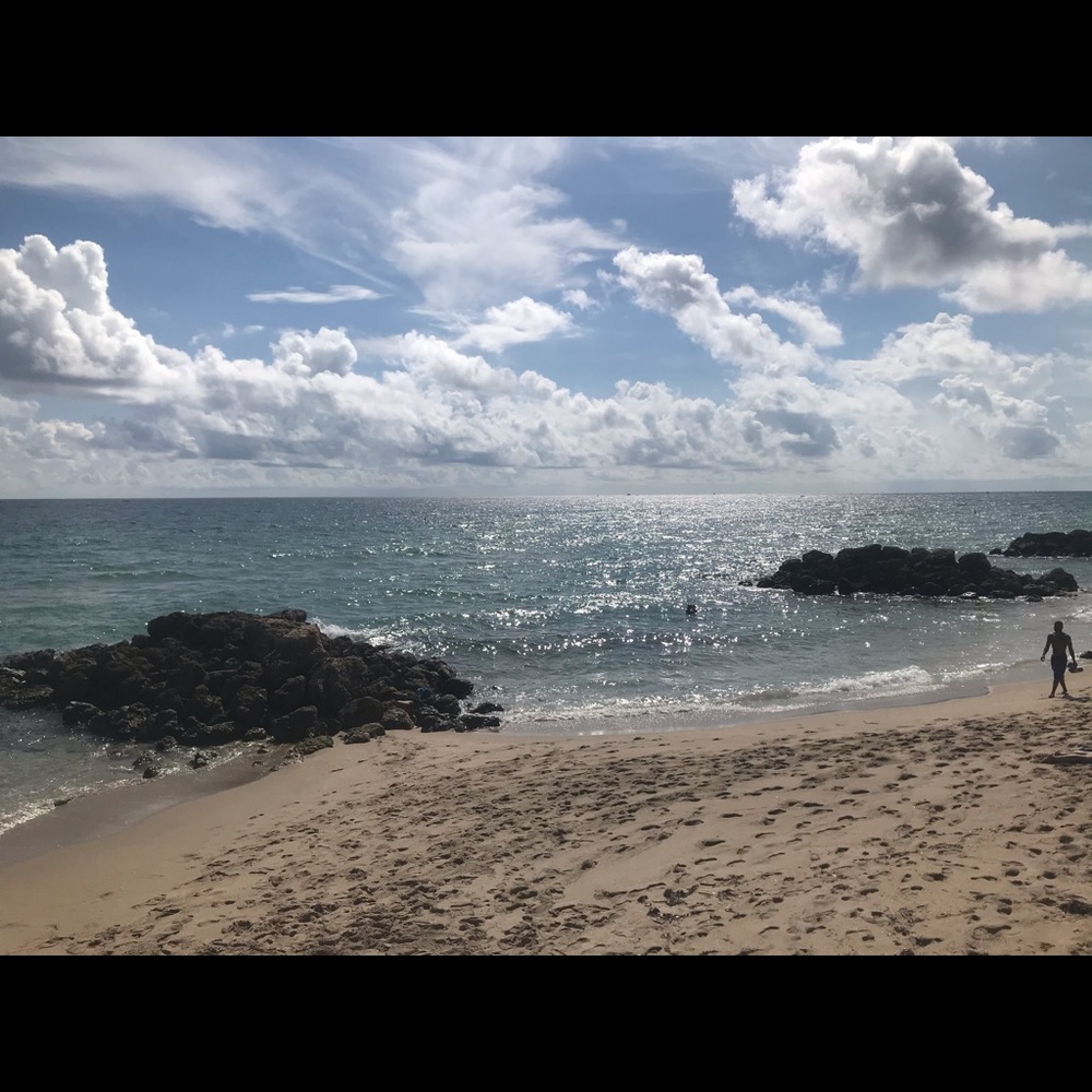 Meet your Posher, Theresa